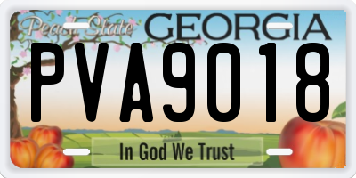 GA license plate PVA9018