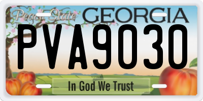 GA license plate PVA9030