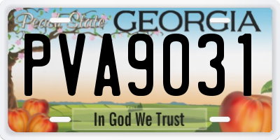 GA license plate PVA9031
