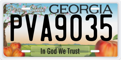 GA license plate PVA9035