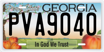 GA license plate PVA9040