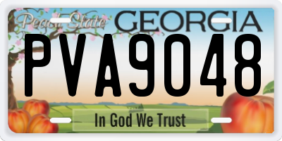 GA license plate PVA9048