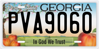 GA license plate PVA9060