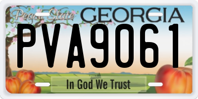 GA license plate PVA9061