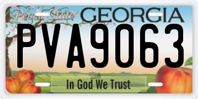 GA license plate PVA9063