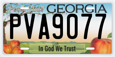 GA license plate PVA9077