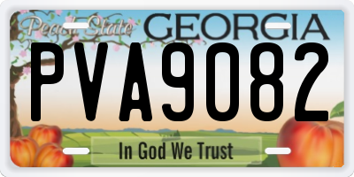 GA license plate PVA9082