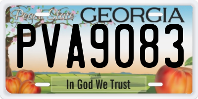 GA license plate PVA9083