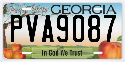 GA license plate PVA9087