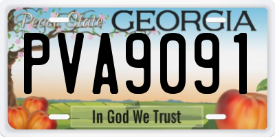 GA license plate PVA9091
