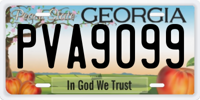 GA license plate PVA9099