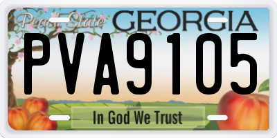 GA license plate PVA9105