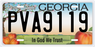 GA license plate PVA9119