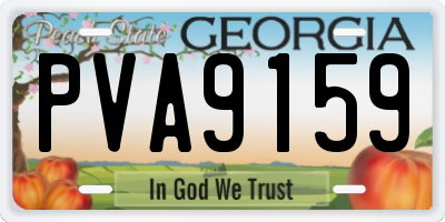 GA license plate PVA9159