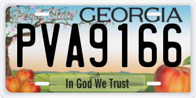 GA license plate PVA9166