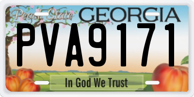 GA license plate PVA9171