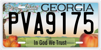 GA license plate PVA9175