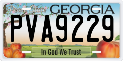 GA license plate PVA9229