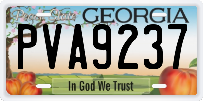 GA license plate PVA9237