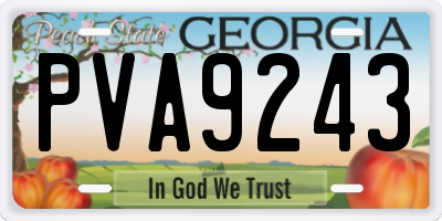 GA license plate PVA9243