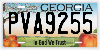 GA license plate PVA9255