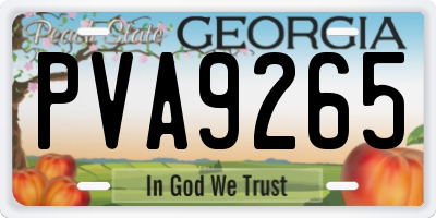 GA license plate PVA9265