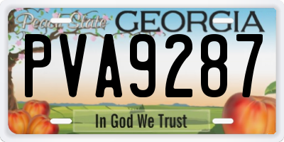 GA license plate PVA9287