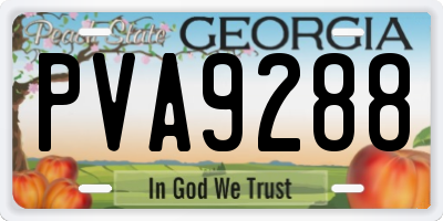 GA license plate PVA9288