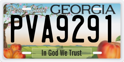 GA license plate PVA9291