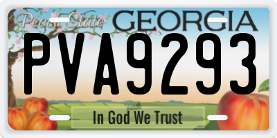 GA license plate PVA9293