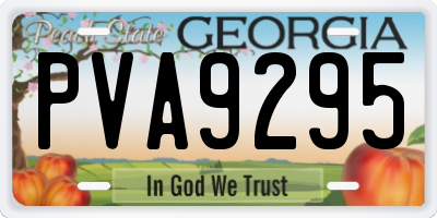 GA license plate PVA9295