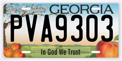 GA license plate PVA9303