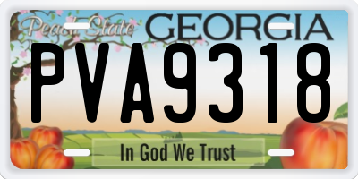 GA license plate PVA9318
