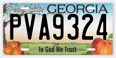 GA license plate PVA9324