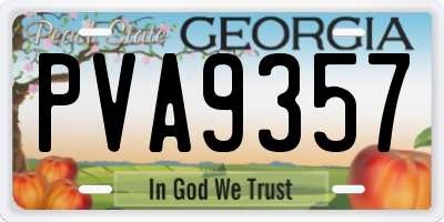 GA license plate PVA9357