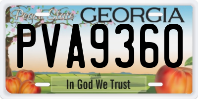 GA license plate PVA9360