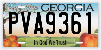 GA license plate PVA9361