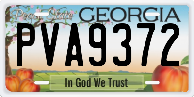 GA license plate PVA9372