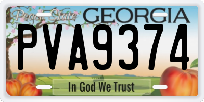 GA license plate PVA9374