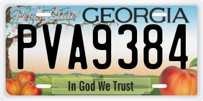 GA license plate PVA9384