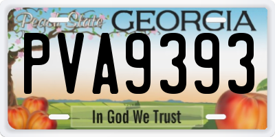 GA license plate PVA9393