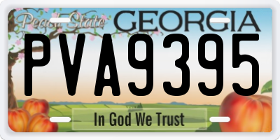 GA license plate PVA9395
