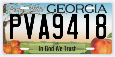 GA license plate PVA9418