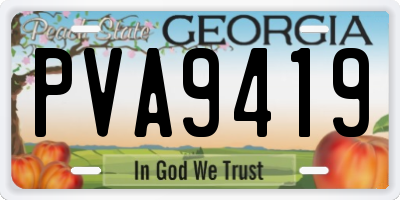 GA license plate PVA9419