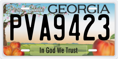 GA license plate PVA9423