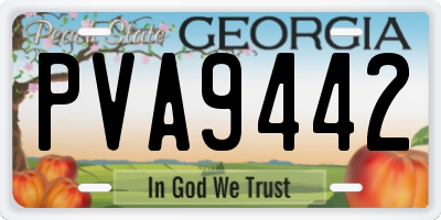 GA license plate PVA9442