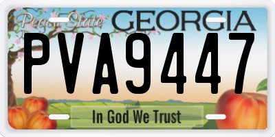 GA license plate PVA9447