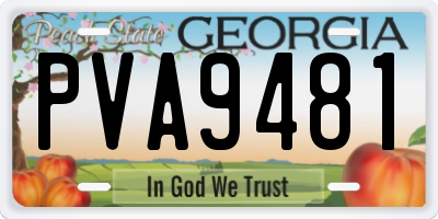 GA license plate PVA9481