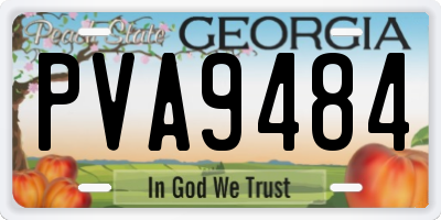 GA license plate PVA9484