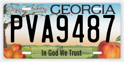 GA license plate PVA9487